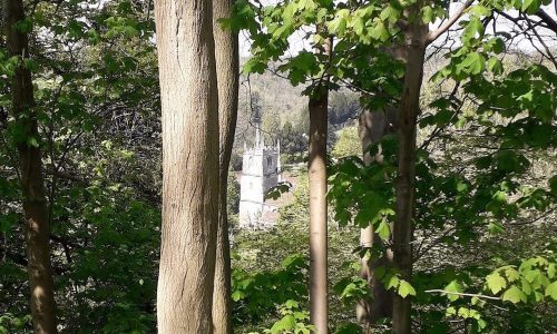 church-thru-trees